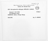 Mycosphaerella dalbergiae image